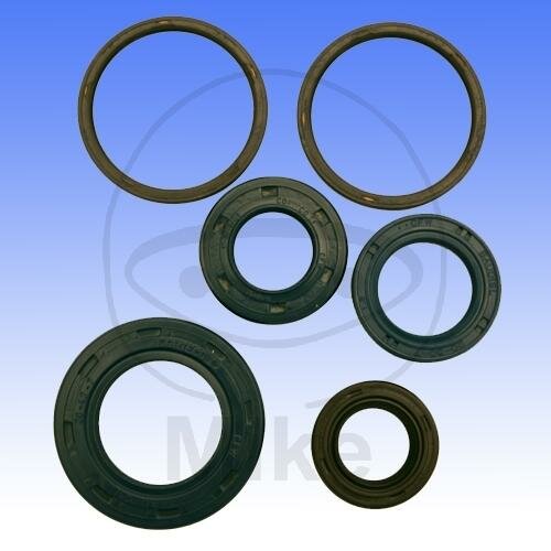 Engine gasket set for Peugeot Buxy Elystar Looxor Ludix TKR 50 # 1993-2009