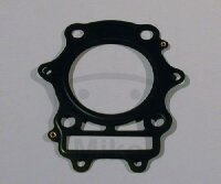 Cylinder head gasket for Beta Alp 40 Euro Jonathan M4 350...