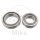 Cuscinetti sterzo per Kawasaki ZX-12R 1200 Ninja ZX-6R 600 636