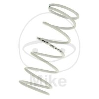 Back pressure spring for Adly/Herchee Herkules 125...