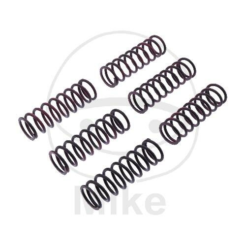 Clutch springs reinforced for BMW F 650 700 800 800 2006-2018