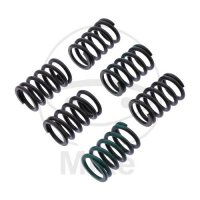 Ressorts dembrayage renforcés pour Kawasaki ZZR...
