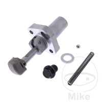 Steuerkettenspanner Original