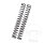 Fork spring linear YSS spring rate 10.0 for Kawasaki ZX-9R 900 C D Ninja Kat