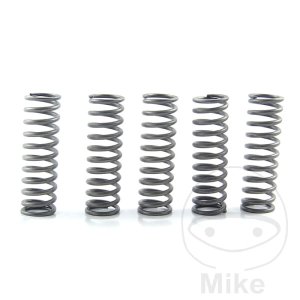 Reinforced clutch spring set for Kawasaki Z 1000 D / E / G / H / R / SX # 10-19
