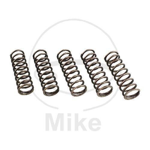 Clutch springs reinforced for BMW F 650 700 800 2006-2019