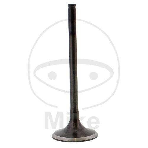 ms H1 55W - ak24parts.com
