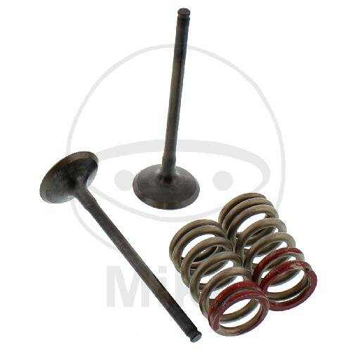Jeu de soupapes échappement + ressorts pour Kawasaki KX 250 F 4T Suzuki RM-Z 250