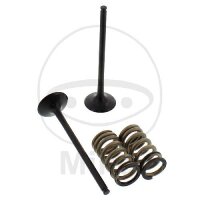 Valve set exhaust + springs for KTM EXC-F 250 4T SX-F 250...