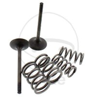 Jeu de soupapes échappement + ressorts pour...