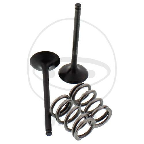 Válvula juego escape + muelles para Suzuki LT-R 450 Quadracer