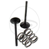 Valve set exhaust + springs for Suzuki LT-R 450 Quadracer