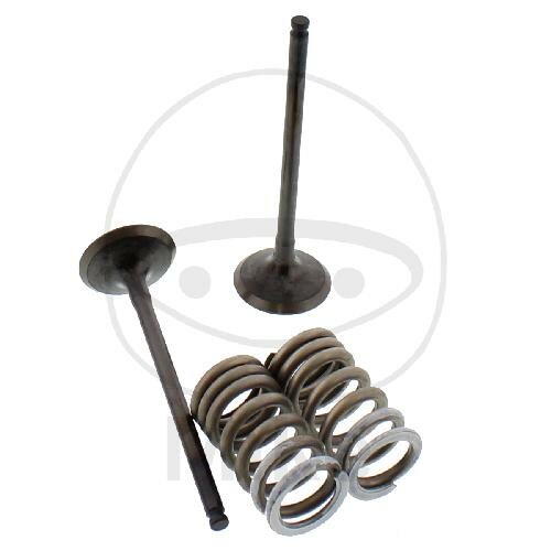 Jeu de soupapes échappement + ressorts pour Suzuki GSF 1200 Bandit Suzuki GSX 1100 F G
