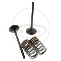 Válvula juego escape + muelles para Suzuki GSF...