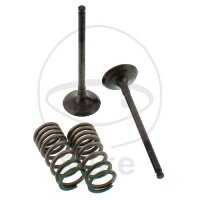 Valve set exhaust + springs for Yamaha WR 250 F YZ 250 F 4T