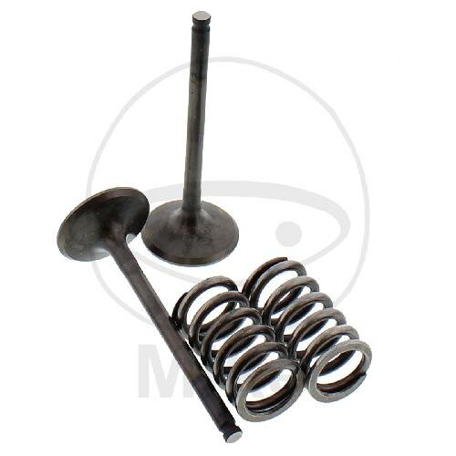 Valve set exhaust + springs for Gas Gas EC 450 F 4T Racing Yamaha YZ 450 F