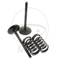 Valve set exhaust + springs for Gas Gas EC 450 F 4T...