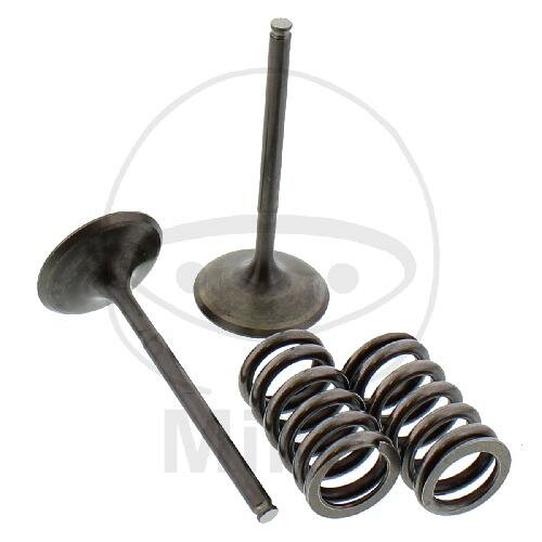 Valve set intake + springs for Honda CRF 450 R TRX 450 ER TRX 450 R Sportrax
