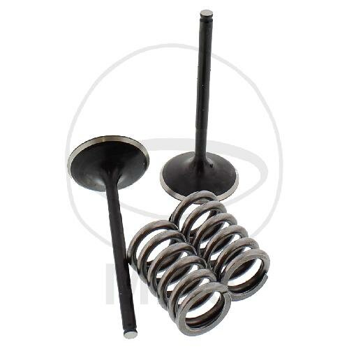 Valve set intake + springs for Honda CRF 450 X