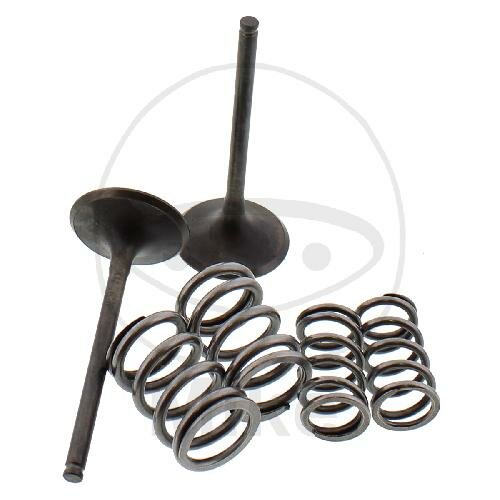 Valve set intake + springs for Kawasaki KX 450 F