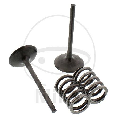 Valve set intake + springs for Suzuki RM-Z 450