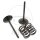 Valve set intake + springs for Suzuki RM-Z 450