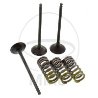 Ventil Satz Einlass + Federn für Yamaha SR 250 SP SE...