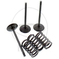 Ventil Satz Einlass + Federn für Gas Gas EC 450 F 4T...