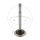 Valve exhaust for BMW R 25 /3 R 26 R 50 R 51 /2 /3 R 60 R 67 /3