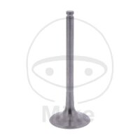Válvula de escape OE para BMW G 450 X