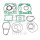 Set guarnizioni cilindro per Gas Gas EC 200 250 300 # 1999-2008