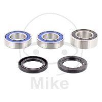Set di cuscinetti ruota completo posteriore per Sherco SE...