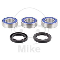 Set di cuscinetti ruota completo posteriore per Suzuki RM...