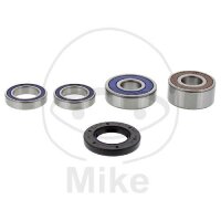 Set di cuscinetti ruota completo posteriore per Honda VTX...