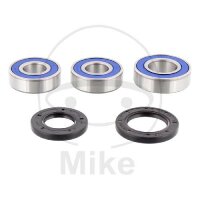 Set di cuscinetti ruota completo posteriore per Suzuki DR...