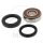 Wheel bearing set complete rear for Honda FJS 400 600