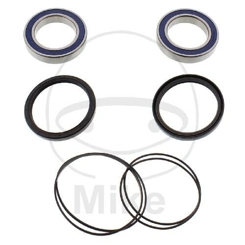 Set di cuscinetti ruota completo posteriore per Adly/Herchee Sport Utility 300 Honda TRX 300 400