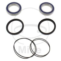 Wheel bearing set complete rear for Adly/Herchee Sport...