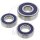 Set di cuscinetti ruota completo posteriore per Kawasaki KX 250 # 1978-1981