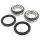 Wheel bearing set complete rear for Bombardier DS 650 # 2000-2005