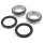 Jeu de roulements de roue arrière complet pour Bombardier DS 650 # 2000-2005