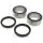 Jeu de roulements de roue arrière renforcé pour CAN-AM DS 450 # 2008-2015