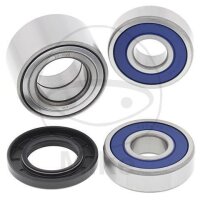 Wheel bearing set complete rear for Indian Chief...