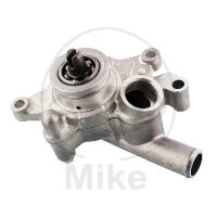 Water pump complete for Yamaha VP 250 VP 300 YP 250
