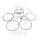Piston set Athena for Honda CRF 250 # 2006-2019
