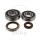 Set di cuscinetti dellalbero a gomiti per Gas Gas EC 250 300 MC 250