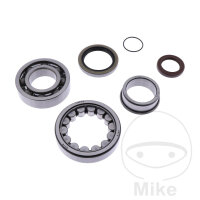 Set di cuscinetti dellalbero a gomiti per Husqvarna TC TE...