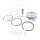 Set pistoni Athena per Piaggio Beverly Carnaby MP3 X7 X8 X9 XEvo 250
