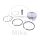 Set pistoni Athena per Piaggio Beverly Carnaby MP3 X7 X8 X9 XEvo 250
