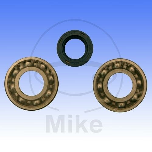 Set di cuscinetti dellalbero a gomiti per Piaggio Boxer 50 Vespa Grillo 25